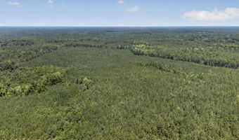 82 Acres Point Caswell Rd, Atkinson, NC 28421