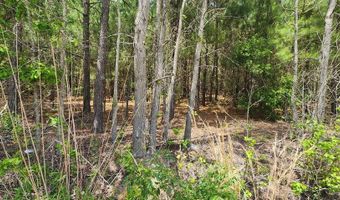 1 Lost Horn Rd, Branchville, SC 29432