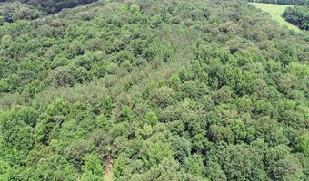 Pine Lodge Road, Batesville, MS 38606
