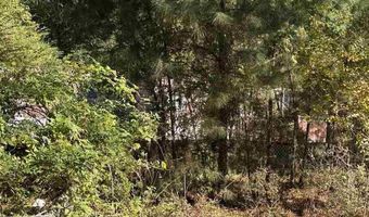 575 Green Bay Rd, Andrews, SC 29510