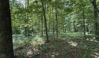 Lot 20 Newpointe Subdivision, Albany, KY 42602