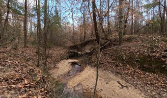 Saint John Road, Braxton, MS 39044