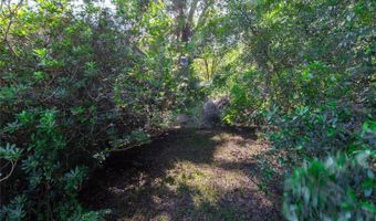 5301 NW COUNTY ROAD 235, Alachua, FL 32615