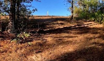 Sunshine Rd lot 1, Andalusia, AL 36421