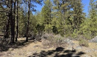 Horned Owl Lane, Bonanza, OR 97623