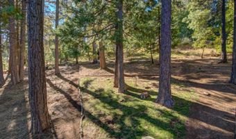 2767 Quartz Dr, Arnold, CA 95223