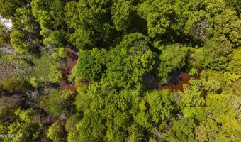 Beech Bluff Road, Beech Bluff, TN 38313