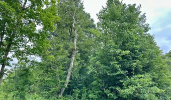 Opah's Drive lot 11, Aitkin, MN 56431