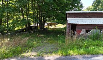 390 Hall Rd, Afton, NY 13730