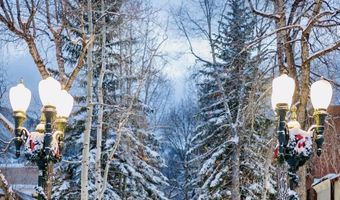 125 E Hyman Ave 1A, Aspen, CO 81611