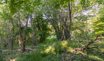 28 Mile Rd, Albion, MI 49224