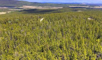 2221 Kootchie Kootchie Rd Lot 0, Alma, CO 80420
