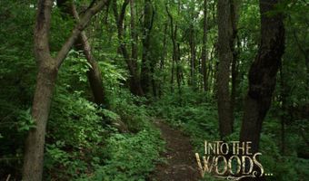 285 Brookside Dr, Ann Arbor, MI 48105