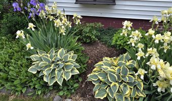 141 Forest Ave, Bangor, ME 04401