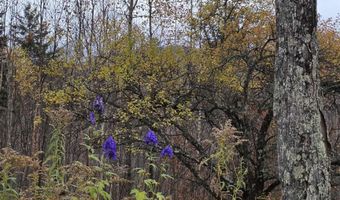 1846 Dartt Hill Rd, Bethel, VT 05032