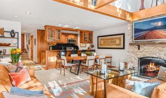 326 W Hopkins Ave, Aspen, CO 81611