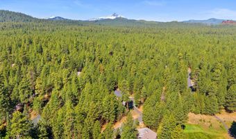 13391 Anapholis GM 419, Black Butte Ranch, OR 97759