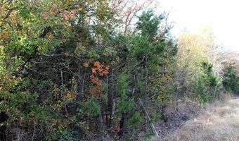Red Lake Road, Albany, OK 74726