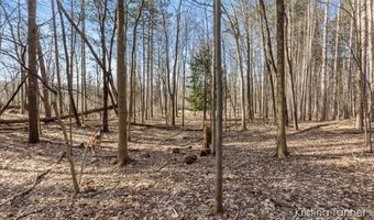 742 Honey Crk, Ada, MI 49301