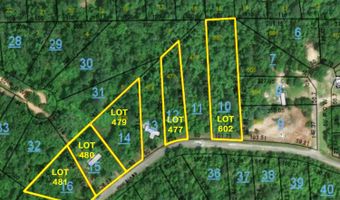 397 Woodland Dr Lot 480, Abbeville, AL 36310