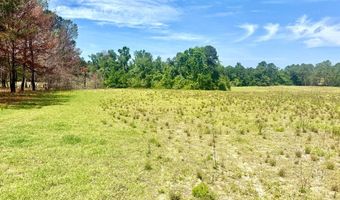 1983 Minton Chapel Rd, Bartow, GA 30413