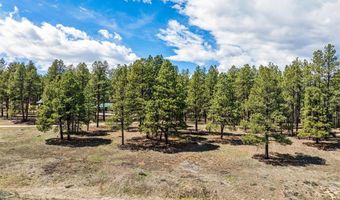 841 Beaver Creek Dr, Bayfield, CO 81122