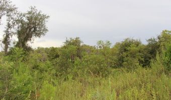 21558 NW Lake Mckenzie Blvd, Altha, FL 32421