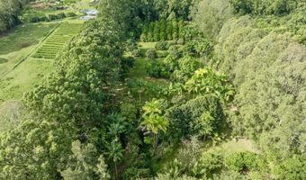 29-509 CHIN CHUCK Rd, Hakalau, HI 96710