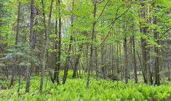 TBD W Shipley Rd, Alborn, MN 55702