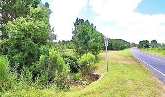 13 89 Ac Lumby Smith & Hwy 37, Adel, GA 31620