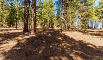 116 Pine Dr, Bayfield, CO 81122