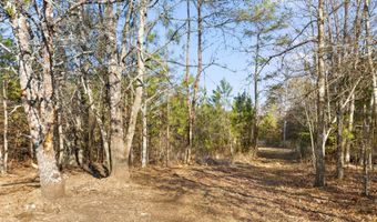 343 Co Rd 814, Flat Rock, AL 35966