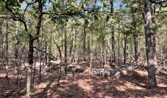 Tract 52 E 1885 Road, Antlers, OK 74523