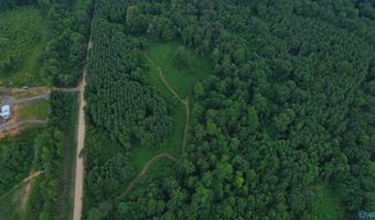 29 Ac Silo Rd, Altoona, AL 35952