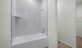 13390 Tula Loop Plan: Amalie, Astatula, FL 34705