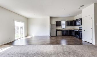 821 Cherry Blossom St, Anna, TX 75409