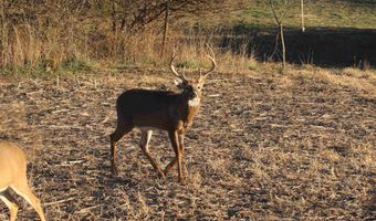 189 Th St, Albia, IA 52531