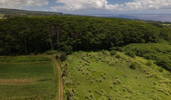 AKAKA FALLS ROAD, Honomu, HI 96728