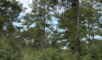 Fop Lodge Rd, Andalusia, AL 36421