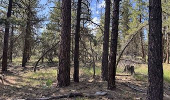 Thunderbear Road 46, Bonanza, OR 97623