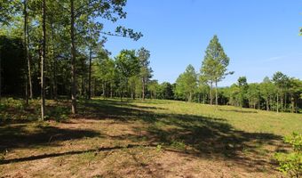 Tower Hill Rd, Appomattox, VA 24522
