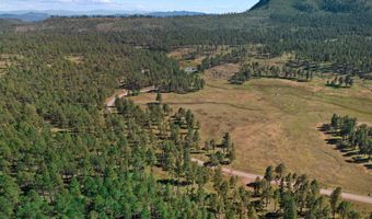 1 A FOREST ROAD 26, Alpine, AZ 85920