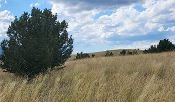 GOV LOTS 1-5, Anaconda, MT 59711