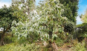 2719 Via Del Robles, Fallbrook, CA 92028