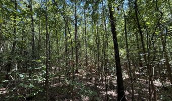 0 Five Notch Rd, Bradley, SC 29848