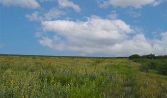 CR 331, Alice, TX 78332