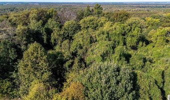 County Road 1320 lot Between County Roads 1324, Bardwell, KY 42023
