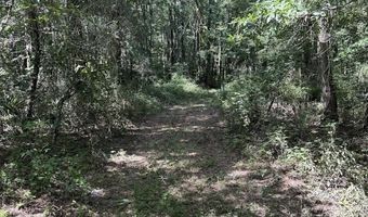 1 Parkers Ferry Rd, Adams Run, SC 29426