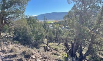 440 Run Around Rd, Arboles, CO 81121