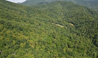 281 Scotts Branch Rd, Amherst, VA 24521